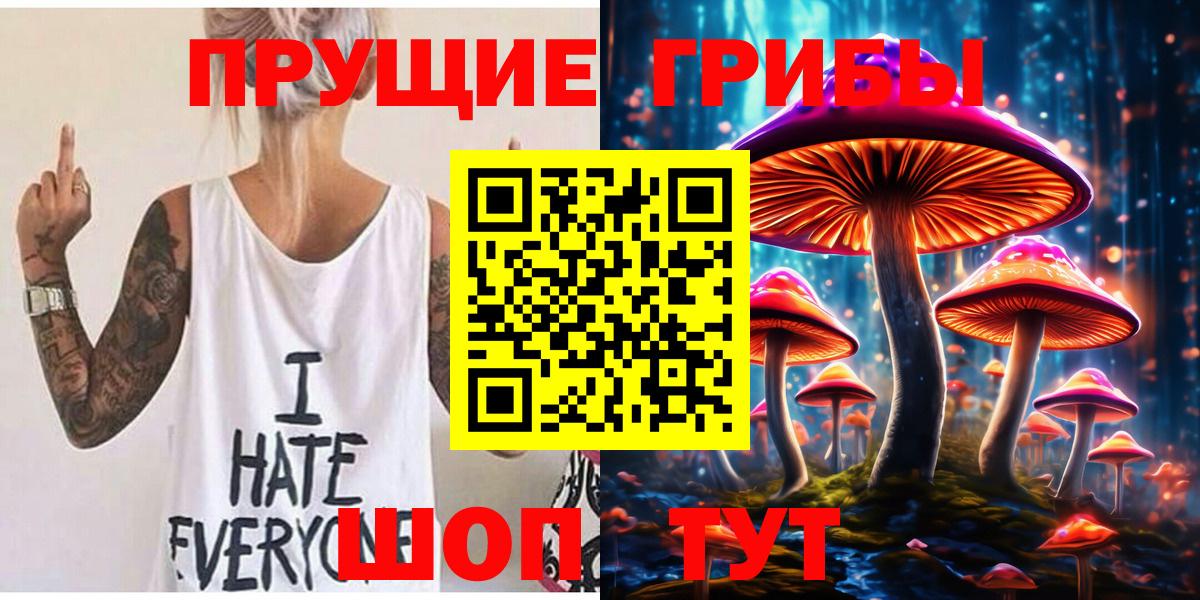 Курчатов  Псилоцибиновые грибы ЛСД  Вход с VPN 